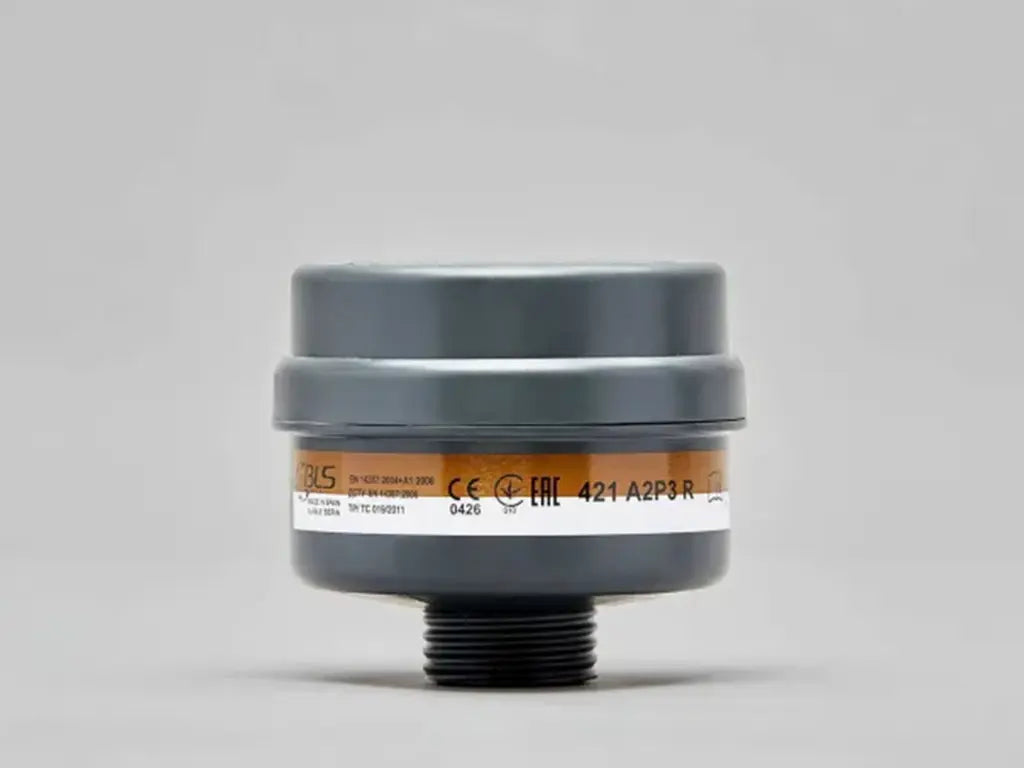 filtro BLS 421 A2P3 R attacco RD40 EN 148-1
