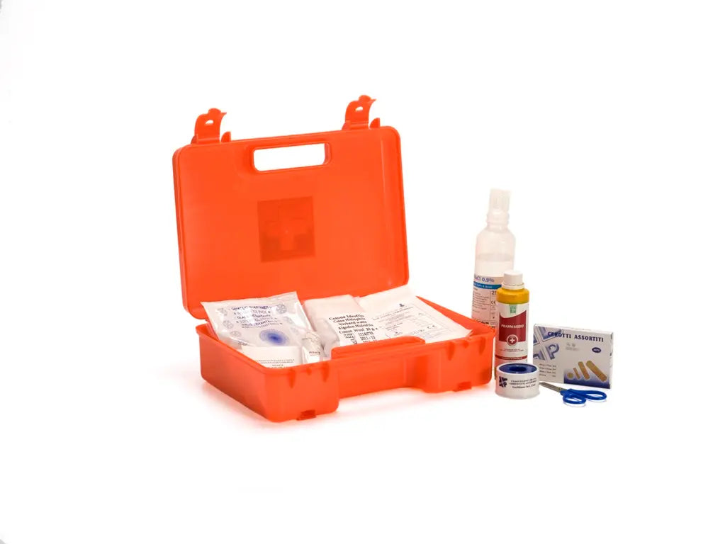 Valigetta pronto soccorso portatile in polipropilene con supporto a parete – PWSTORE