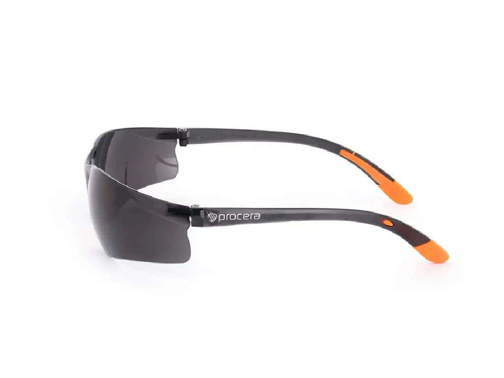 Occhiali di protezione scuri RICARDO SMOKE – Lenti antigraffio in policarbonato EN166